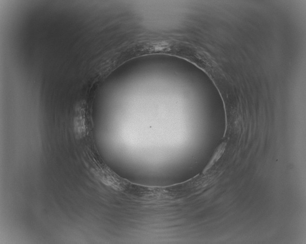 X0000073411442200608040946