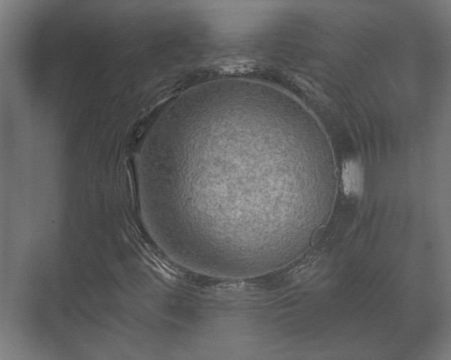 X0000073411444200608040946