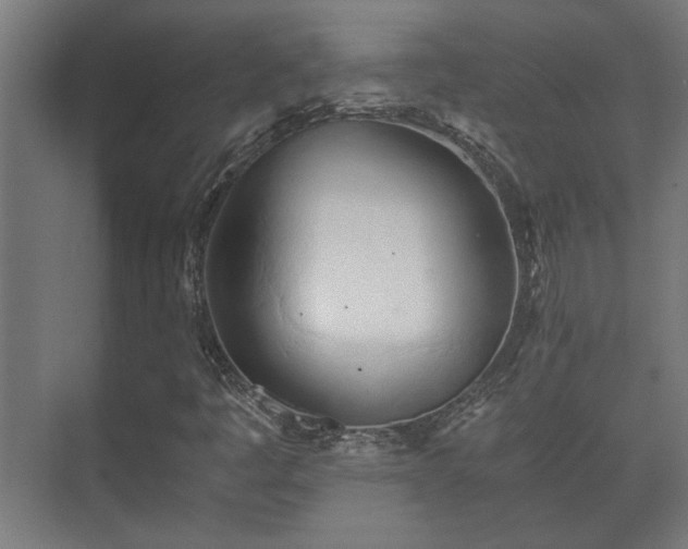 X0000073411445200608040946