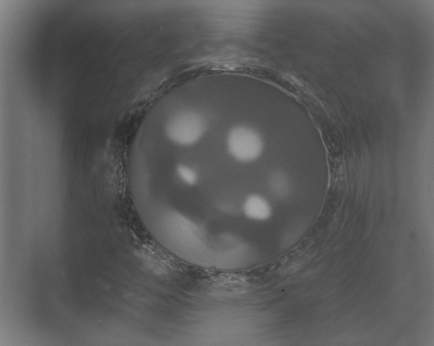 X0000073411446200608040946
