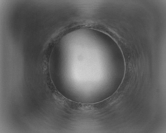 X0000073411447200608040946