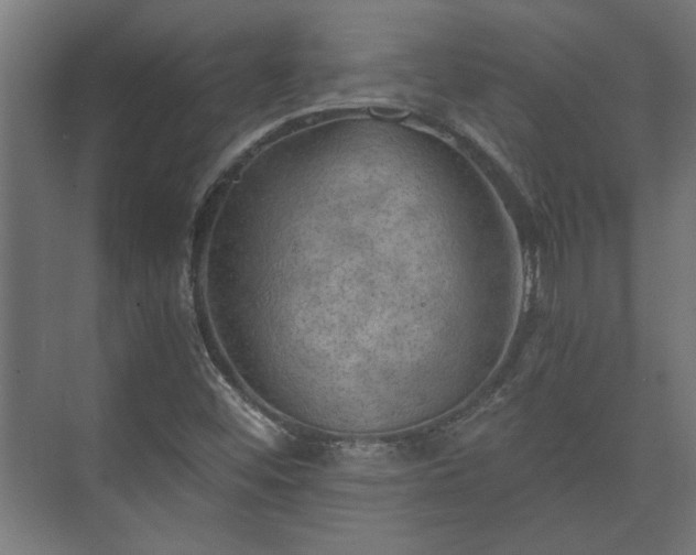 X0000073411452200608040946