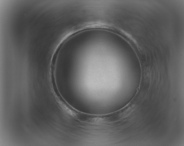 X0000073411463200608040946