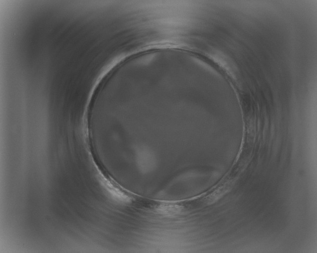 X0000073411466200608040946