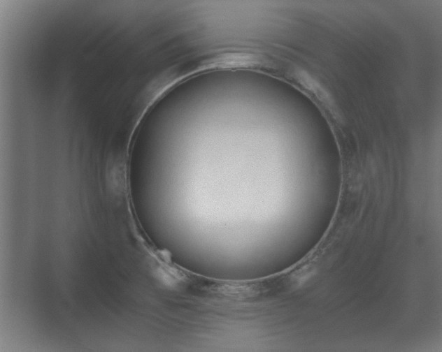 X0000073411473200608040946