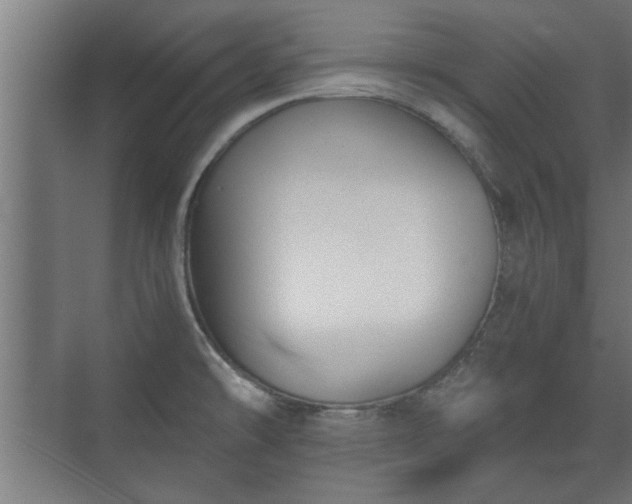 X0000073411478200608040945