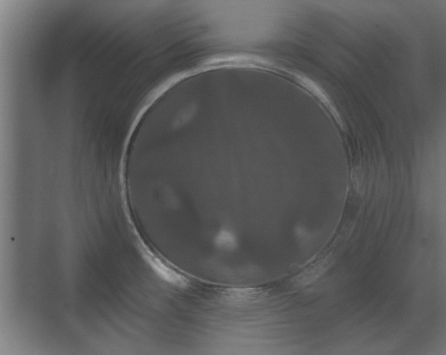 X0000073411482200608040945