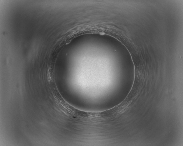 X0000073411490200608040944