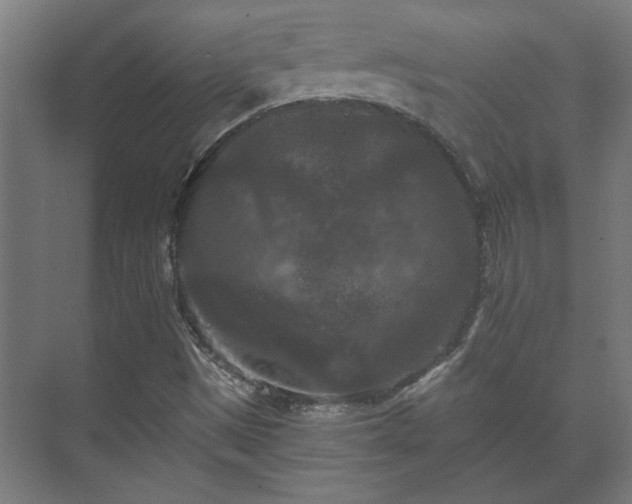 X0000073411497200608040945