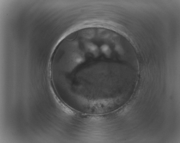 X0000073411522200608040945