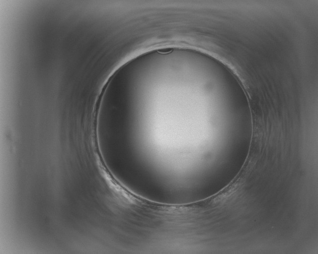X0000073411534200608040945