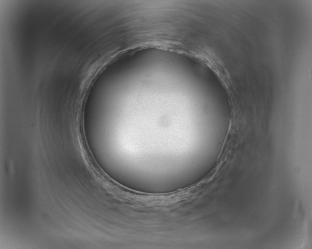 X0000073410001200608111337