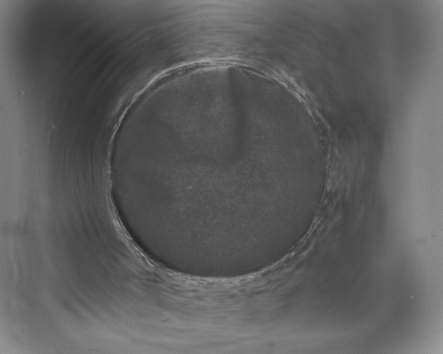 X0000073410002200608111337