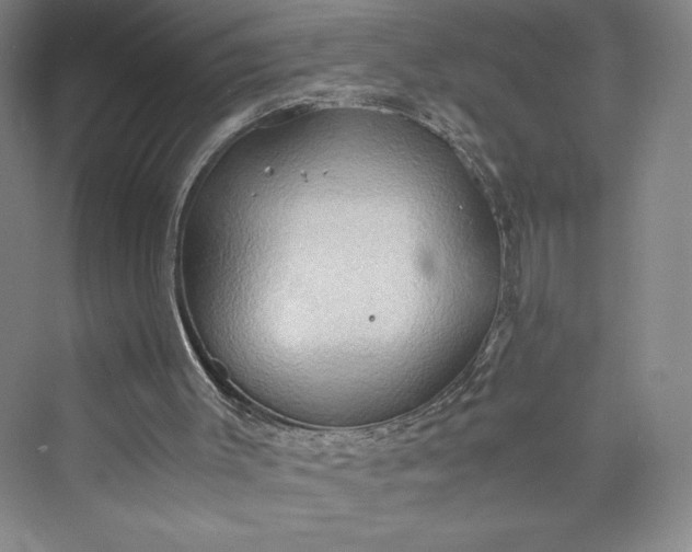 X0000073410003200608111337