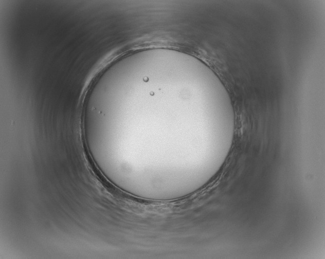 X0000073410004200608111337