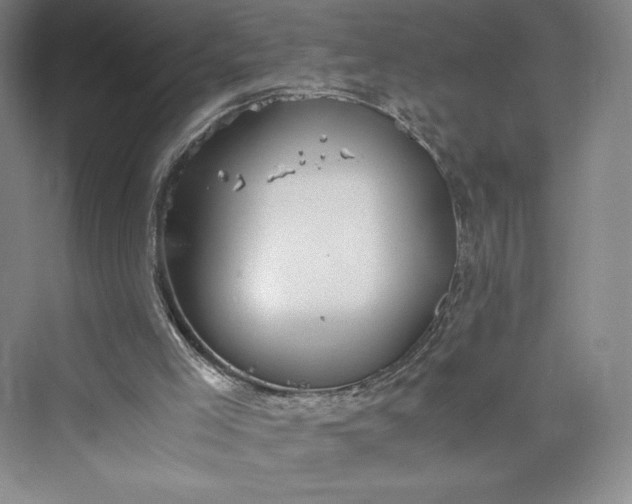 X0000073410005200608111337