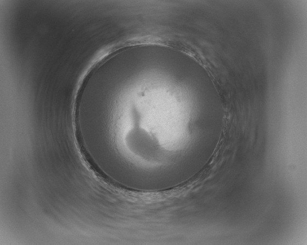 X0000073410006200608111337