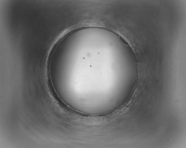 X0000073410008200608111337