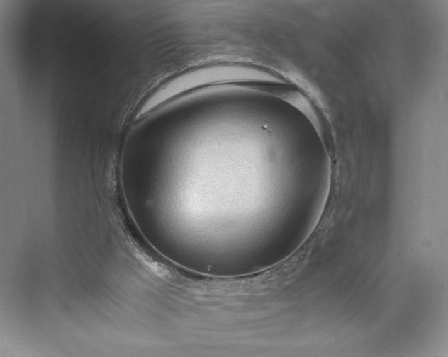 X0000073410009200608111337