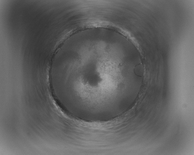 X0000073410010200608111337