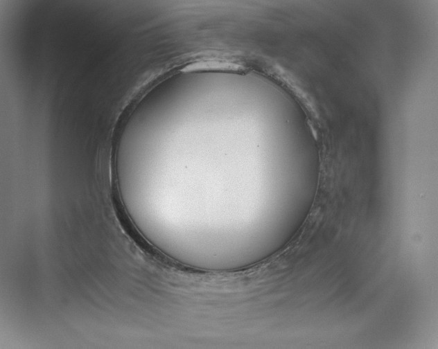 X0000073410011200608111337