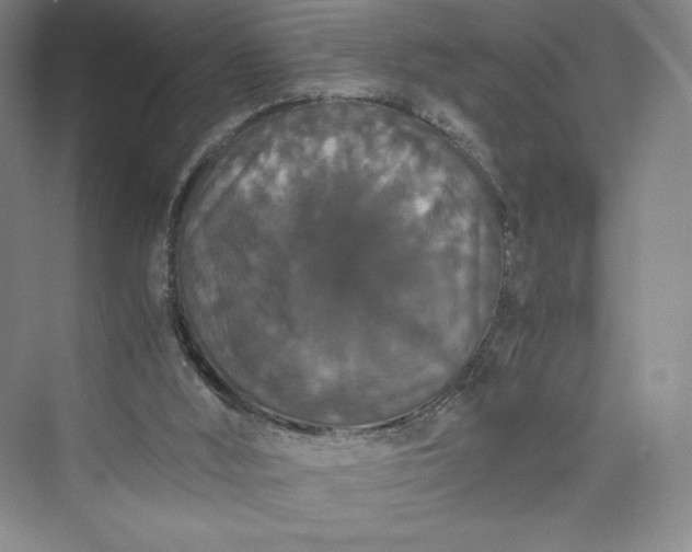 X0000073410012200608111337