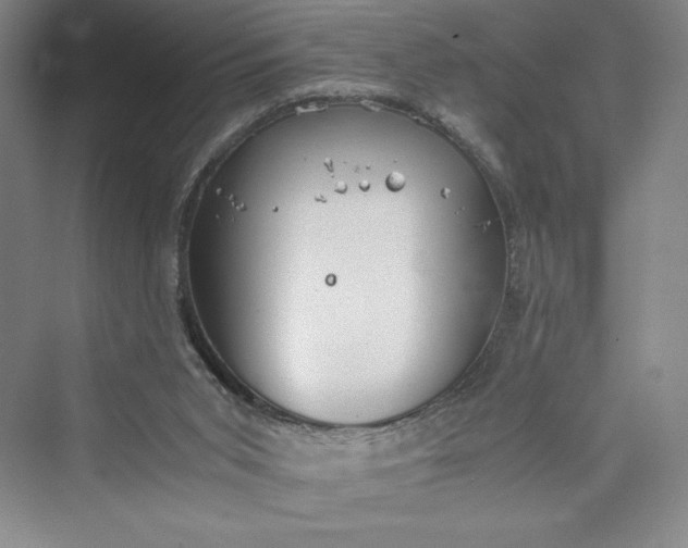 X0000073410015200608111337