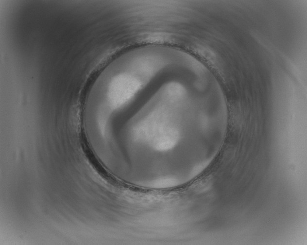 X0000073410016200608111337