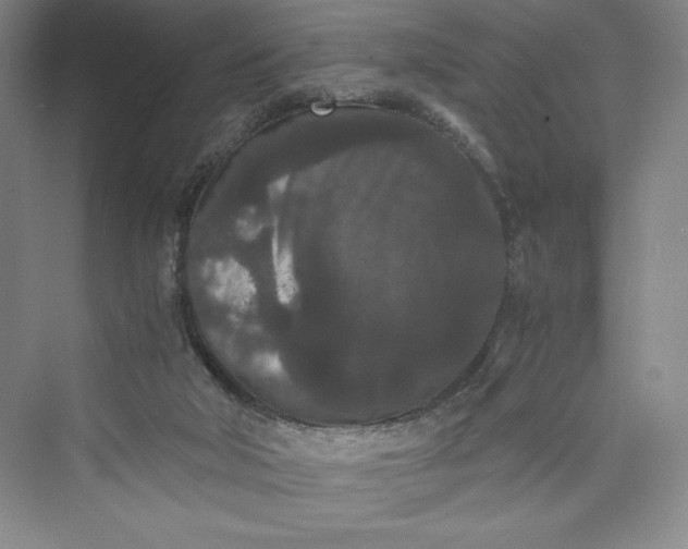 X0000073410018200608111337