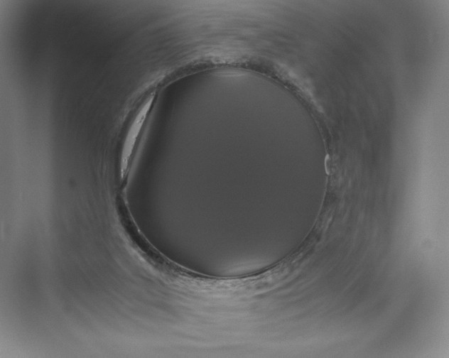 X0000073410019200608111337