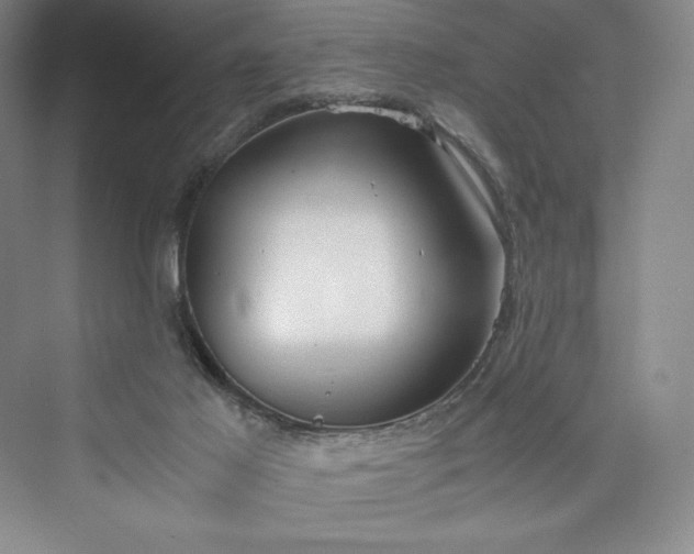 X0000073410021200608111337