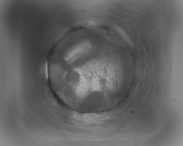 X0000073410022200608111337