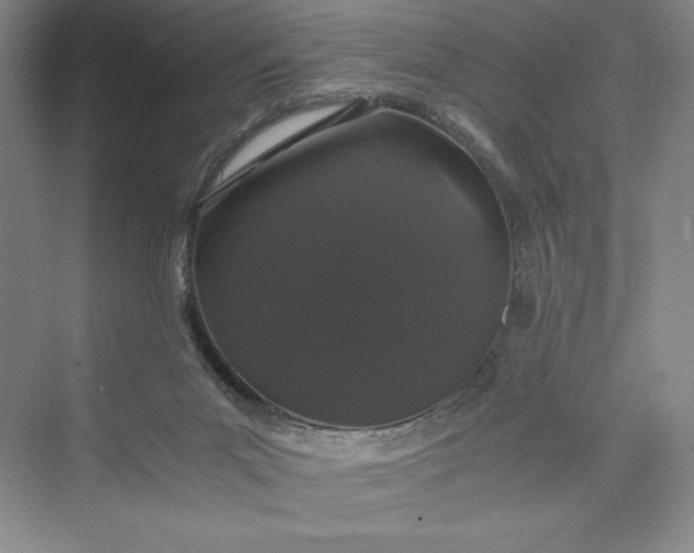 X0000073410023200608111337