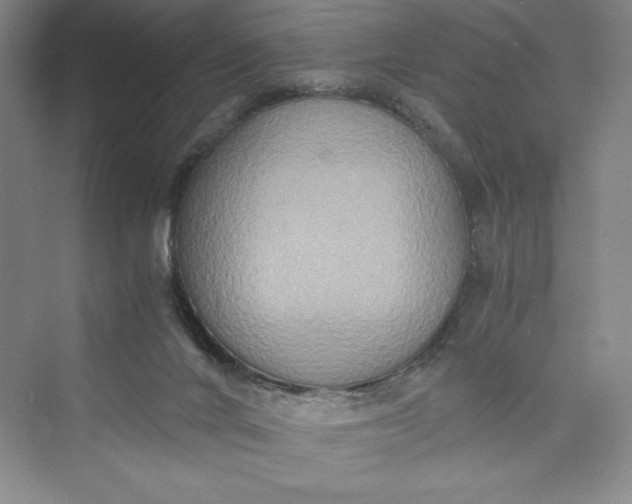 X0000073410024200608111337