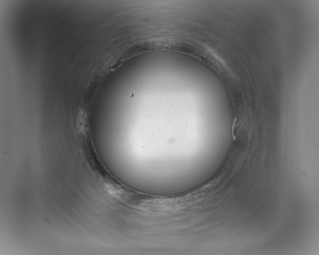 X0000073410025200608111337