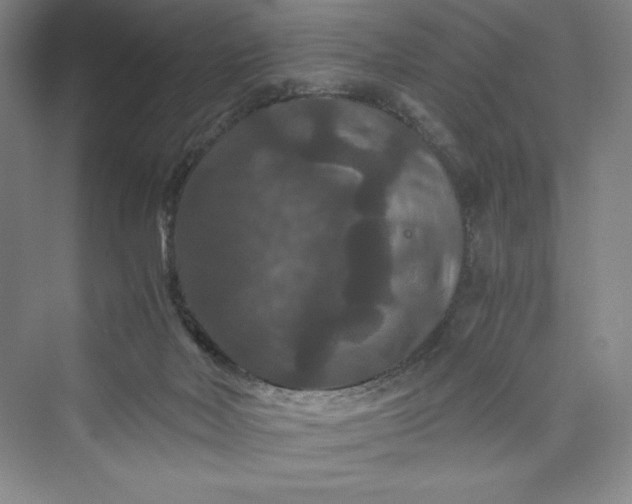 X0000073410026200608111337