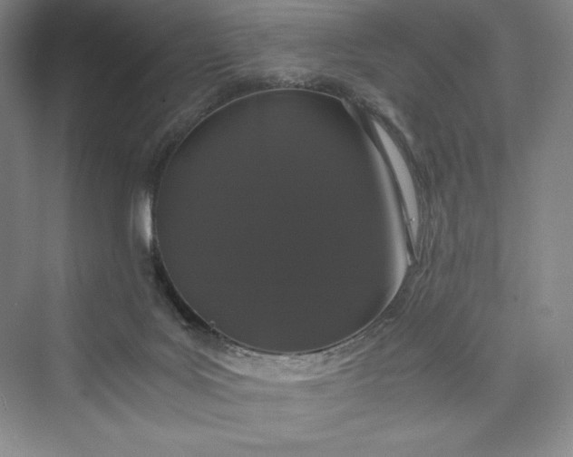 X0000073410027200608111337