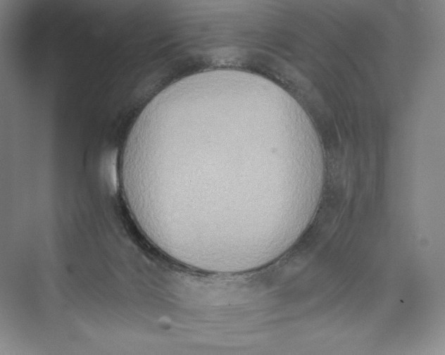 X0000073410028200608111337