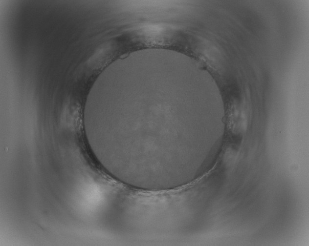 X0000073410029200608111337