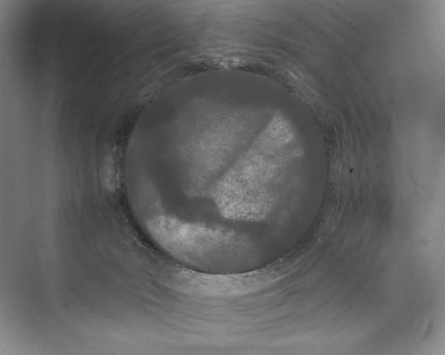 X0000073410030200608111337