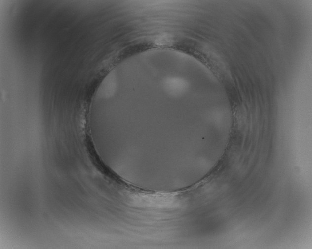 X0000073410032200608111336