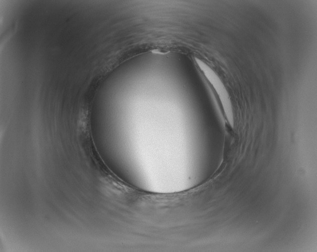 X0000073410033200608111336