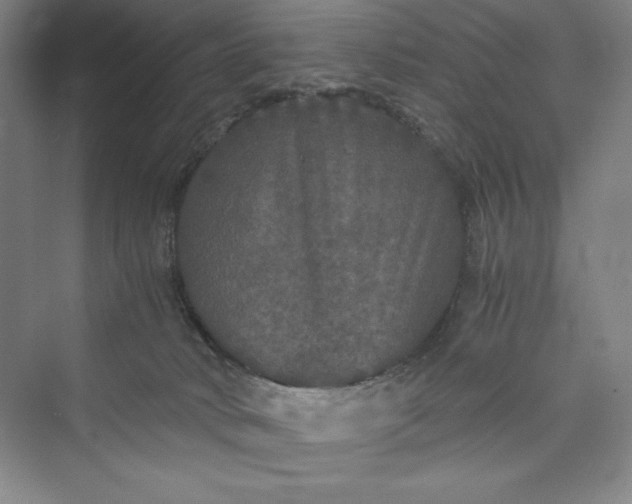 X0000073410034200608111336