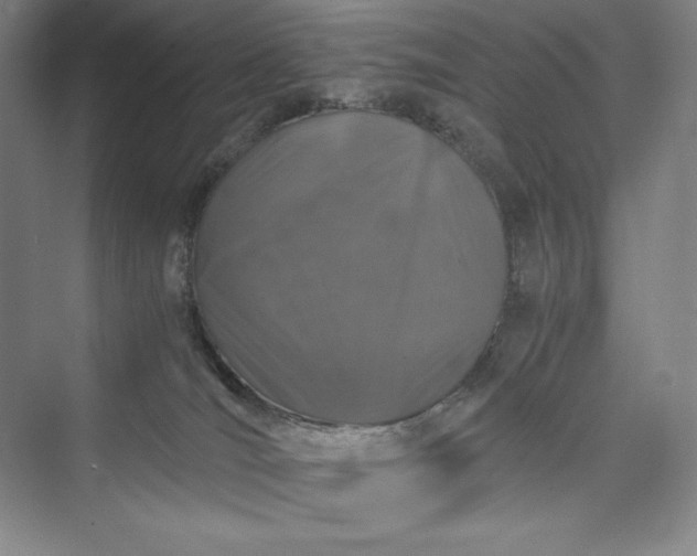 X0000073410036200608111336