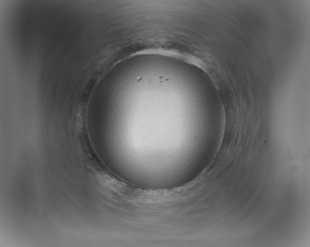 X0000073410037200608111336