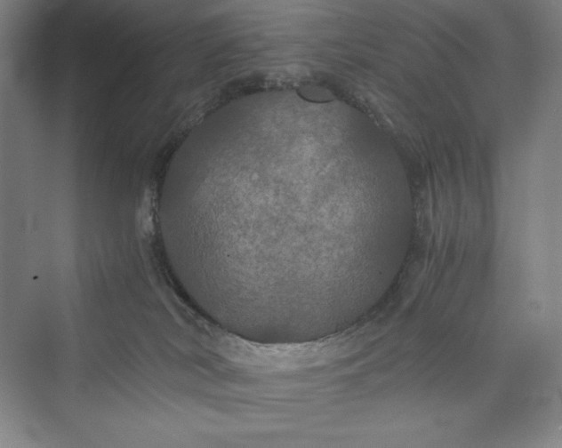 X0000073410038200608111336