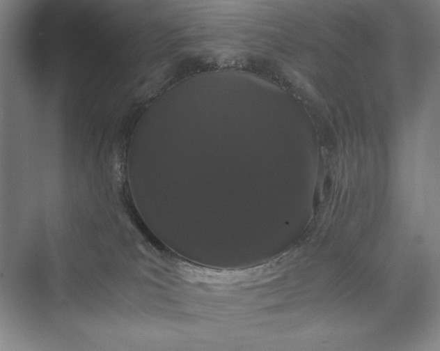 X0000073410039200608111336