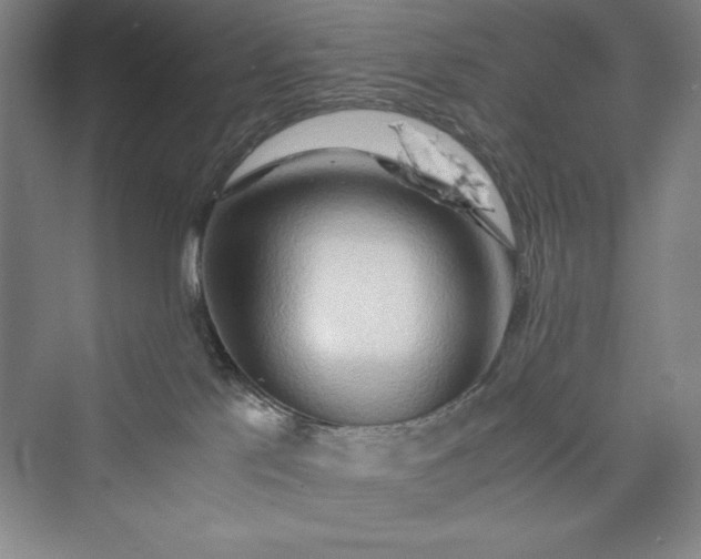 X0000073410041200608111336