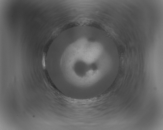 X0000073410042200608111336