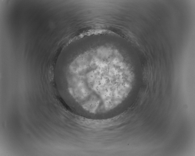 X0000073410043200608111336